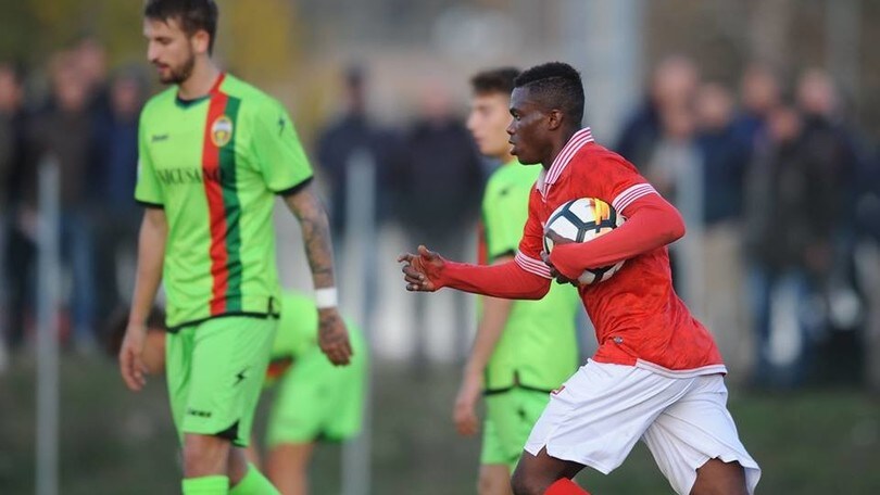 Serie B, Unicusano Ternana-Perugia: in Primavera è pareggio
