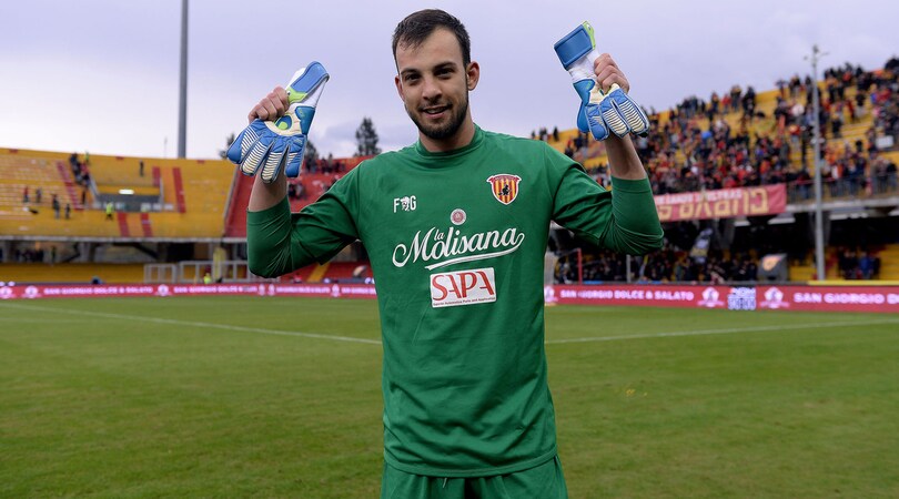 Brignoli, il colibrì che ha studiato con Buffon