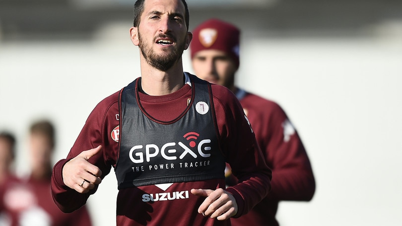 Calciomercato Spal, occhi sul Torino: nel mirino Bonifazi, Valdifiori e Boyè