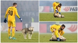 Europa League, invasione di campo: scattano le coccole