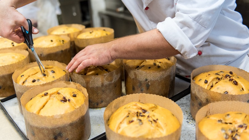 Panettone… che bontà!