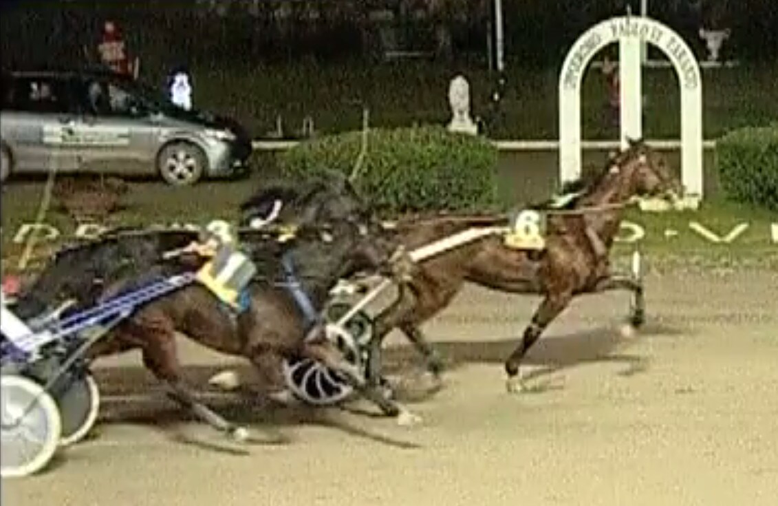 Unicorno Slm, prima classica