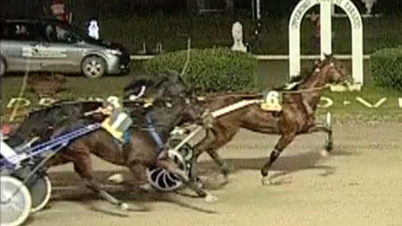 Unicorno Slm, prima classica