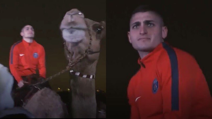 Verratti sul dromedario, l'esperienza è da dimenticare