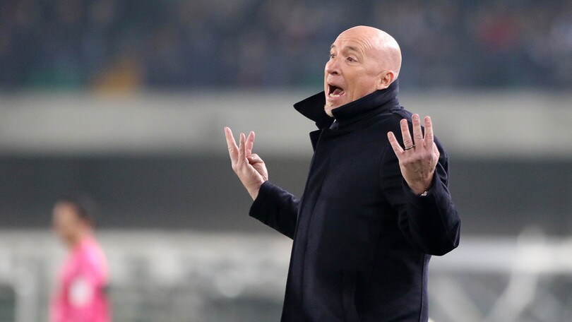 Serie A Chievo, Maran furioso con l'arbitro: «Ha sbagliato con Cacciatore»