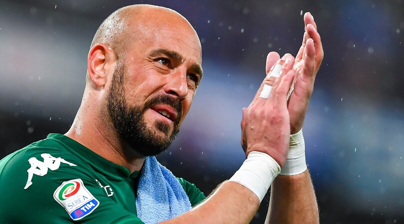 Reina: Reina:
