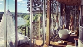 Wanda Nara: doccia hot tra le scimmie curiose