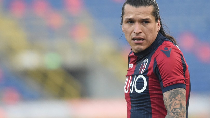Serie A Bologna, escluse lesioni per Santander. Si ferma Nagy