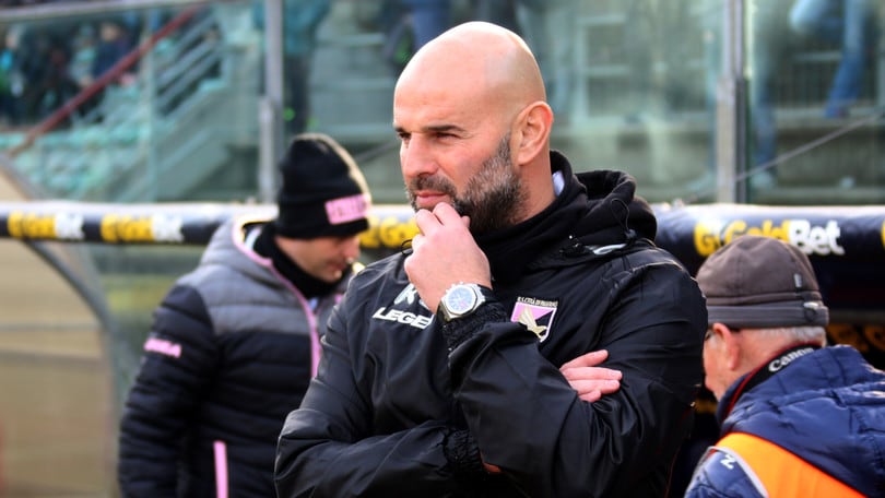 Gli stipendi del Palermo, Bucchi e la dura lotta per la A