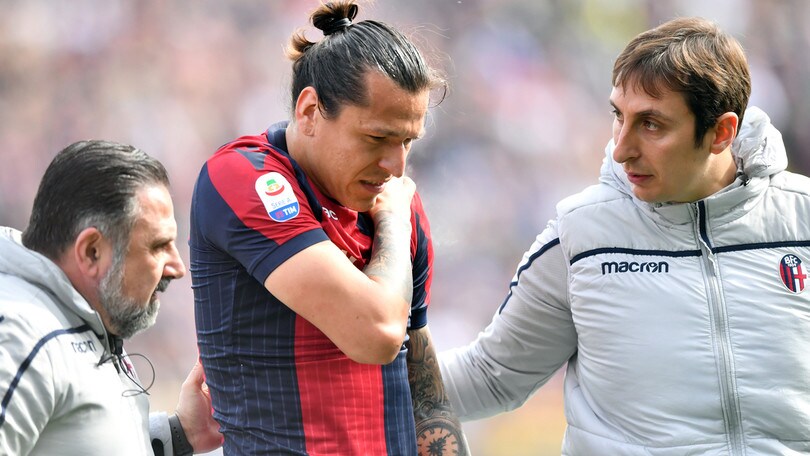 Serie A Bologna, tegola Santander: 3 settimane di stop
