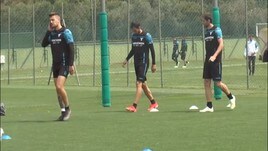 La Juve di nuovo su Milinkovic-Savic