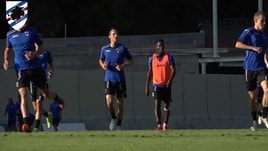 Sampdoria, sviluppi nell'accordo Ferrero-Vialli