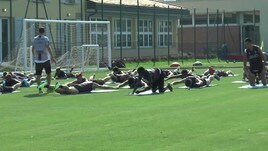 Bologna, Mihajlovic vuole Ibrahimovic