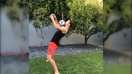 Bologna, Petagna alternativa a Ibrahimovic