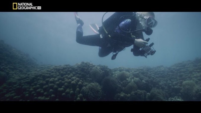 Il segreto degli oceani, guarda la clip esclusiva