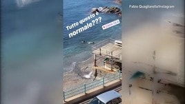 Quagliarella attacca alcuni bagnanti