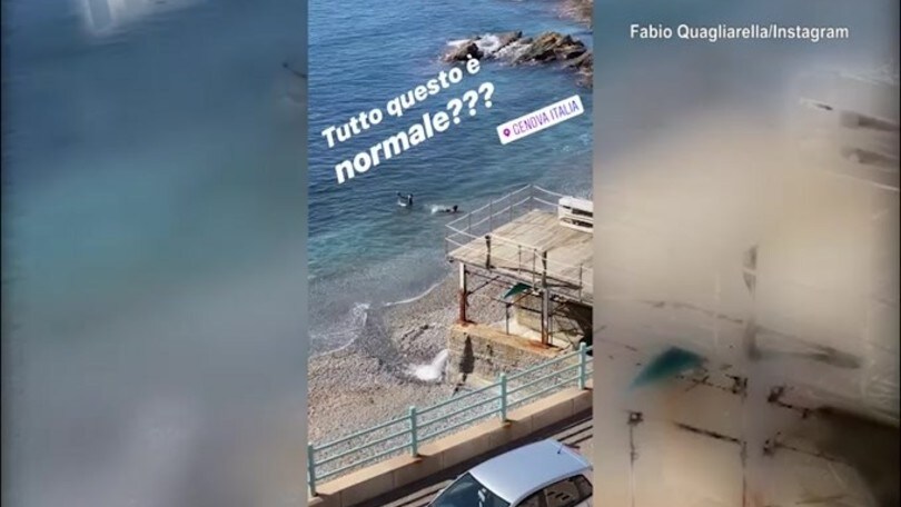 Quagliarella attacca alcuni bagnanti