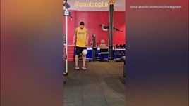 Pogba chiama, Ibra risponde presente
