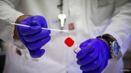 Coronavirus, 239 positivi in meno, 1665 i guariti. Fase 2, le risposte del governo su congiunti, università e attività fisica