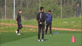 Napoli, per Insigne solo terapie