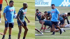 Napoli al lavoro, Gattuso sergente di ferro e Osimhen vola