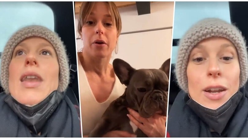 Il duro sfogo di Federica Pellegrini: "Non lasciate i cani al freddo"