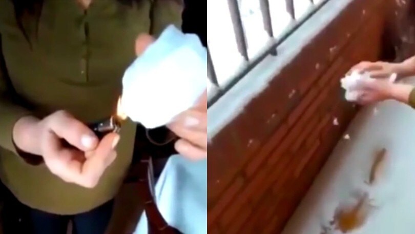 Tempesta Filomena, spunta la negazionista della neve: "E' di plastica"