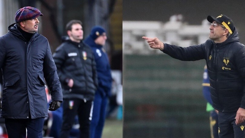 Diretta Bologna-Verona ore 15: dove vederla in tv, streaming e formazioni ufficiali