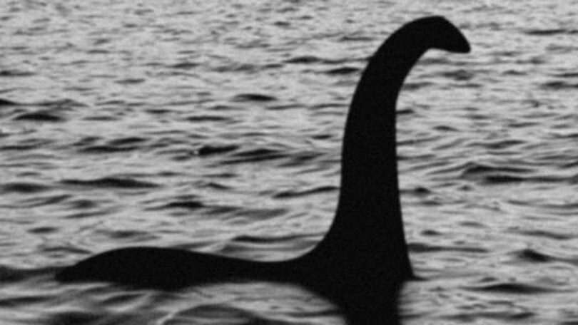 "Il mostro di Loch Ness è in realtà una tartaruga marina"