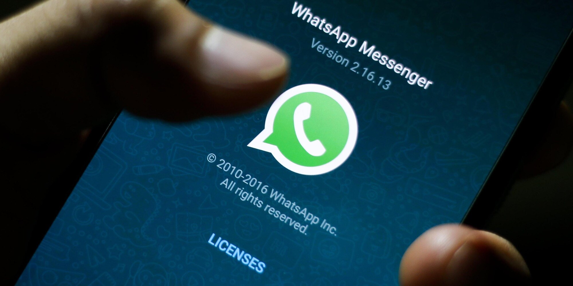 WhatsApp, il Garante per la privacy: "Informativa poco chiara, tuteleremo gli italiani"