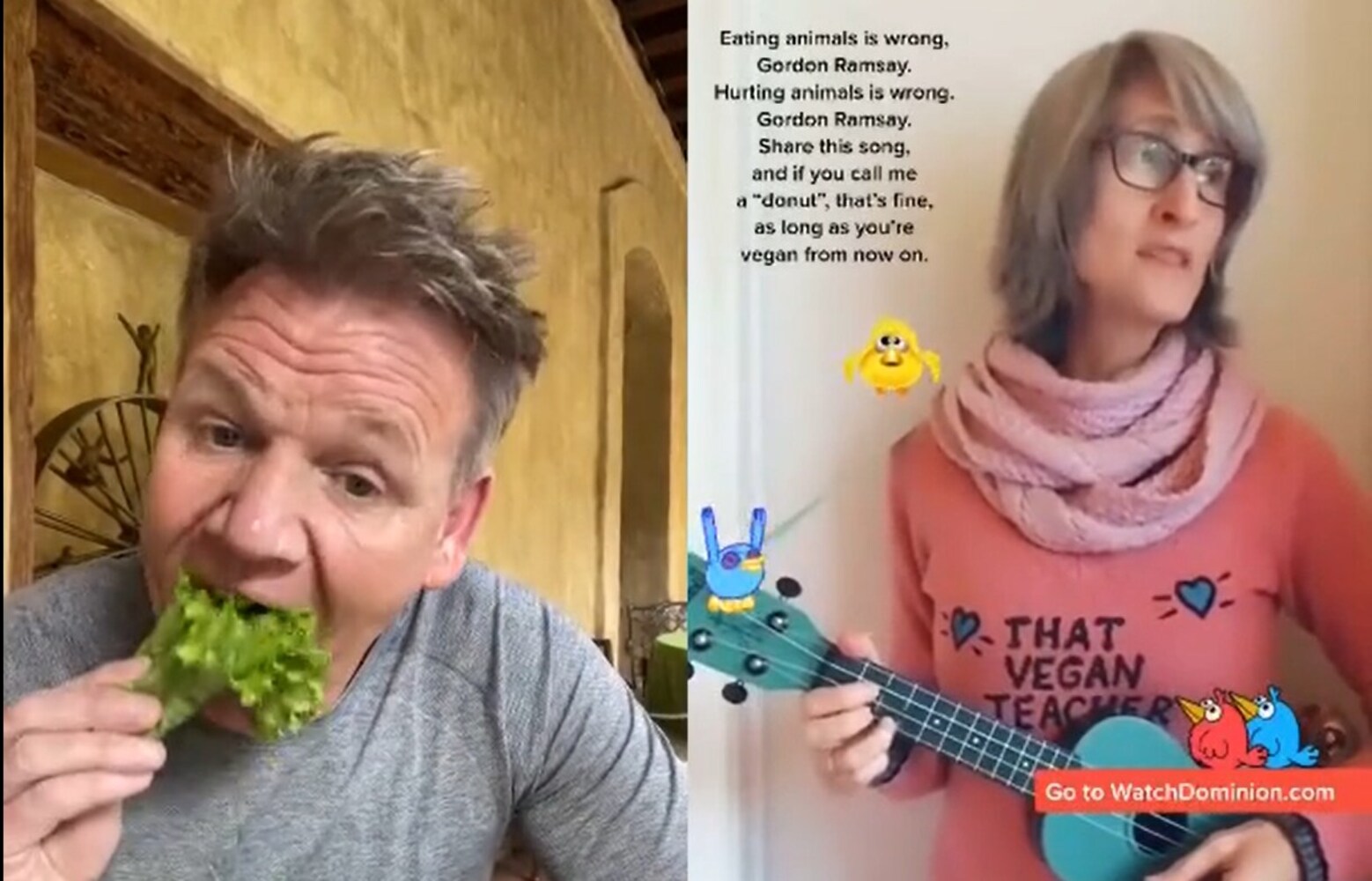 Gordon Ramsey prende in giro una vegana su Tik Tok