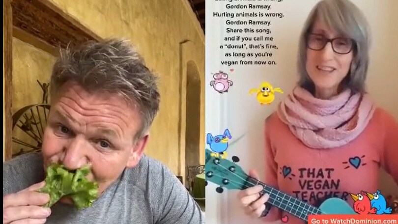 Gordon Ramsey su tik tok risponde alla maestra vegana