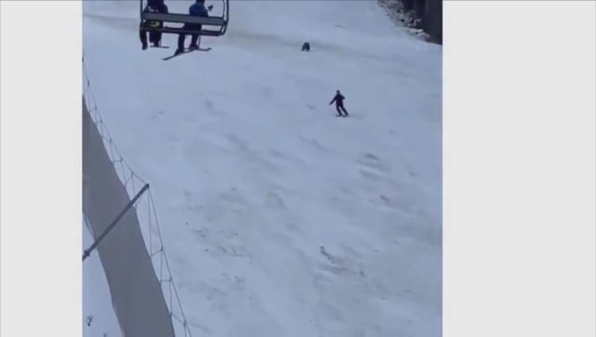 Clamoroso in Romania: sciatore inseguito da un orso!