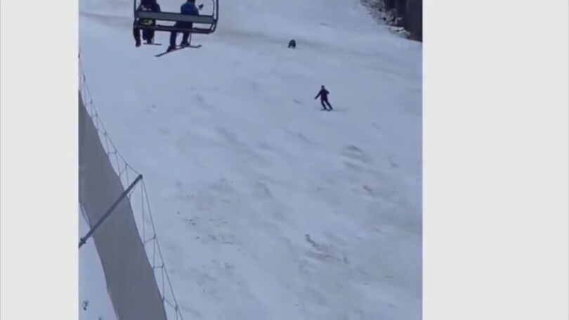 Clamoroso in Romania: sciatore inseguito da un orso!