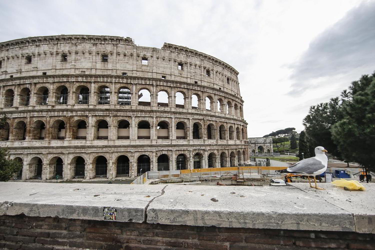 Quali regioni possono diventare gialle. Una sarà bianca?