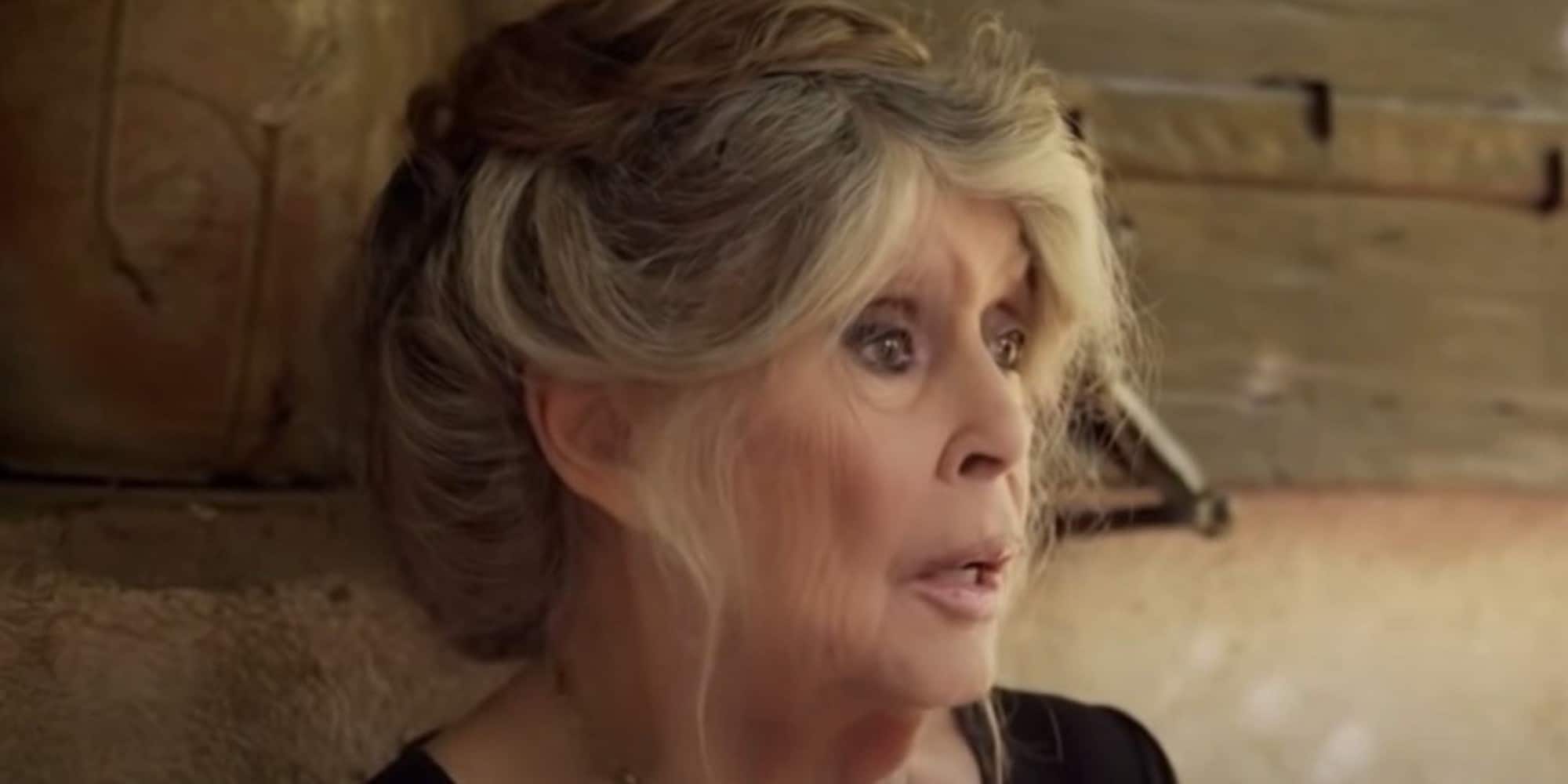 Clamorosa Brigitte Bardot: "Il Coronavirus è una cosa buona"