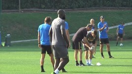 Lite Ibra-Lukaku, la Figc apre un'inchiesta
