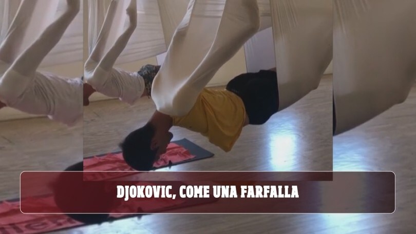 Djokovic, come una farfalla