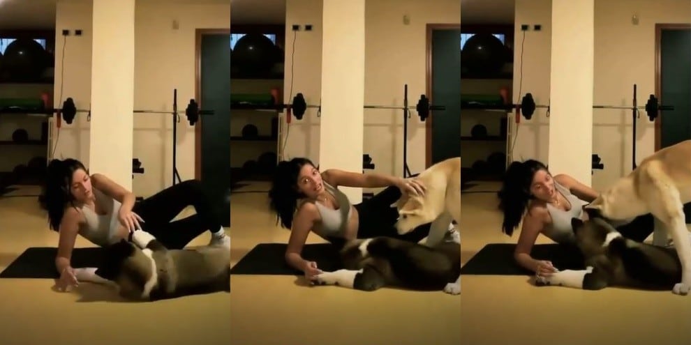 Oriana Sabatini si allena ma i suoi cani reagiscono così