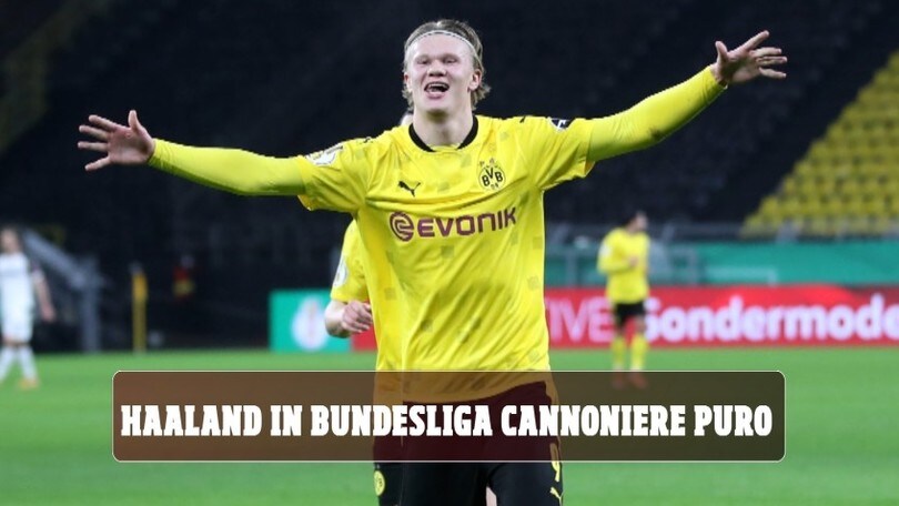 Haaland in Champions cannoniere puro