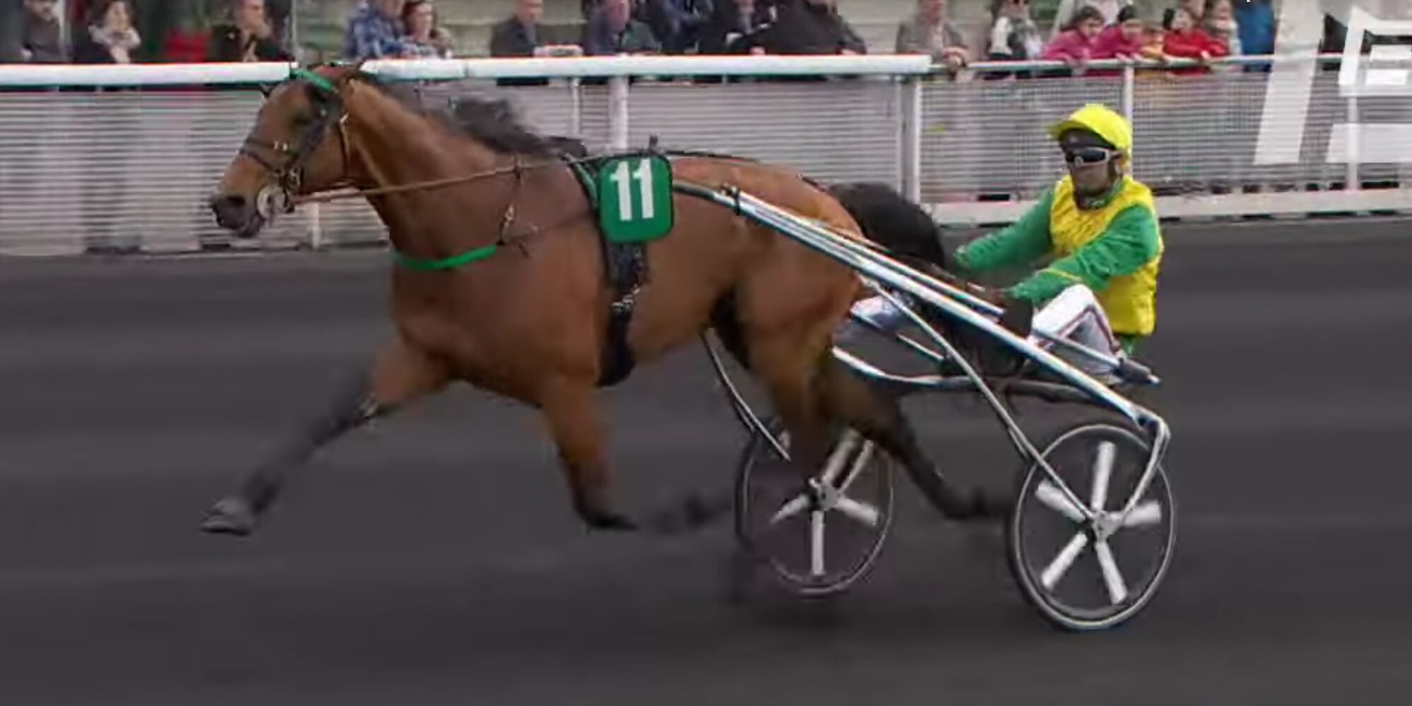 Guarato sceglie Raffin