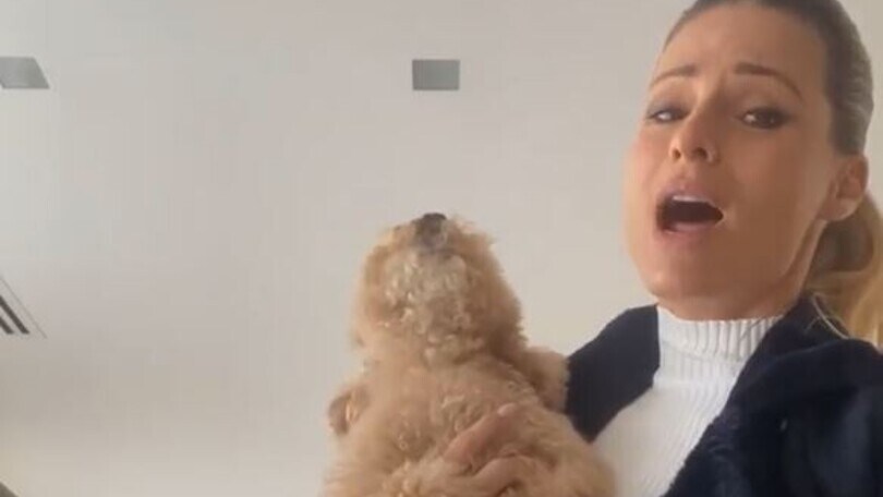 Michelle Hunziker, il cane si dispera e lei...
