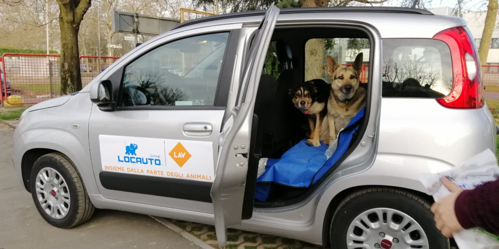 LAV in soccorso degli animali grazie alla collaborazione di Locauto