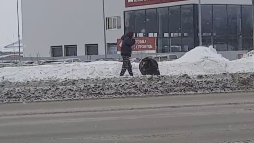 L’orso sbuca dalla neve e attacca un passante: il video è spaventoso