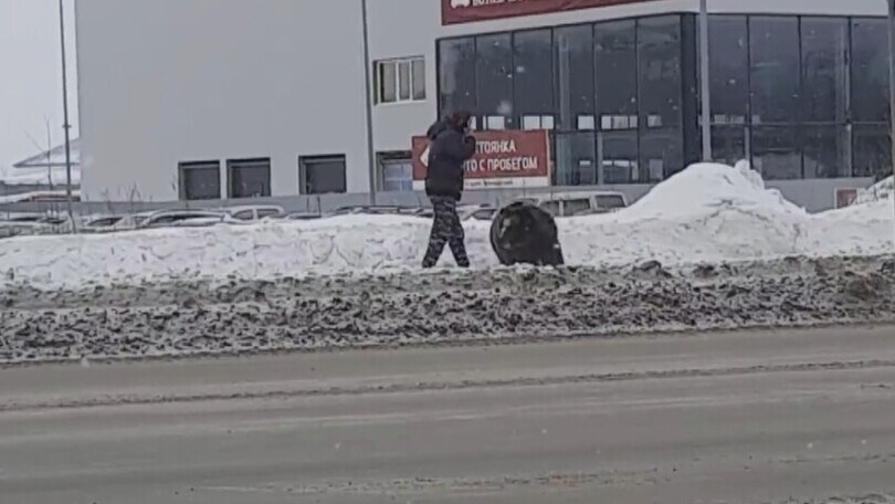 L’orso sbuca dalla neve e attacca un passante: il video è spaventoso