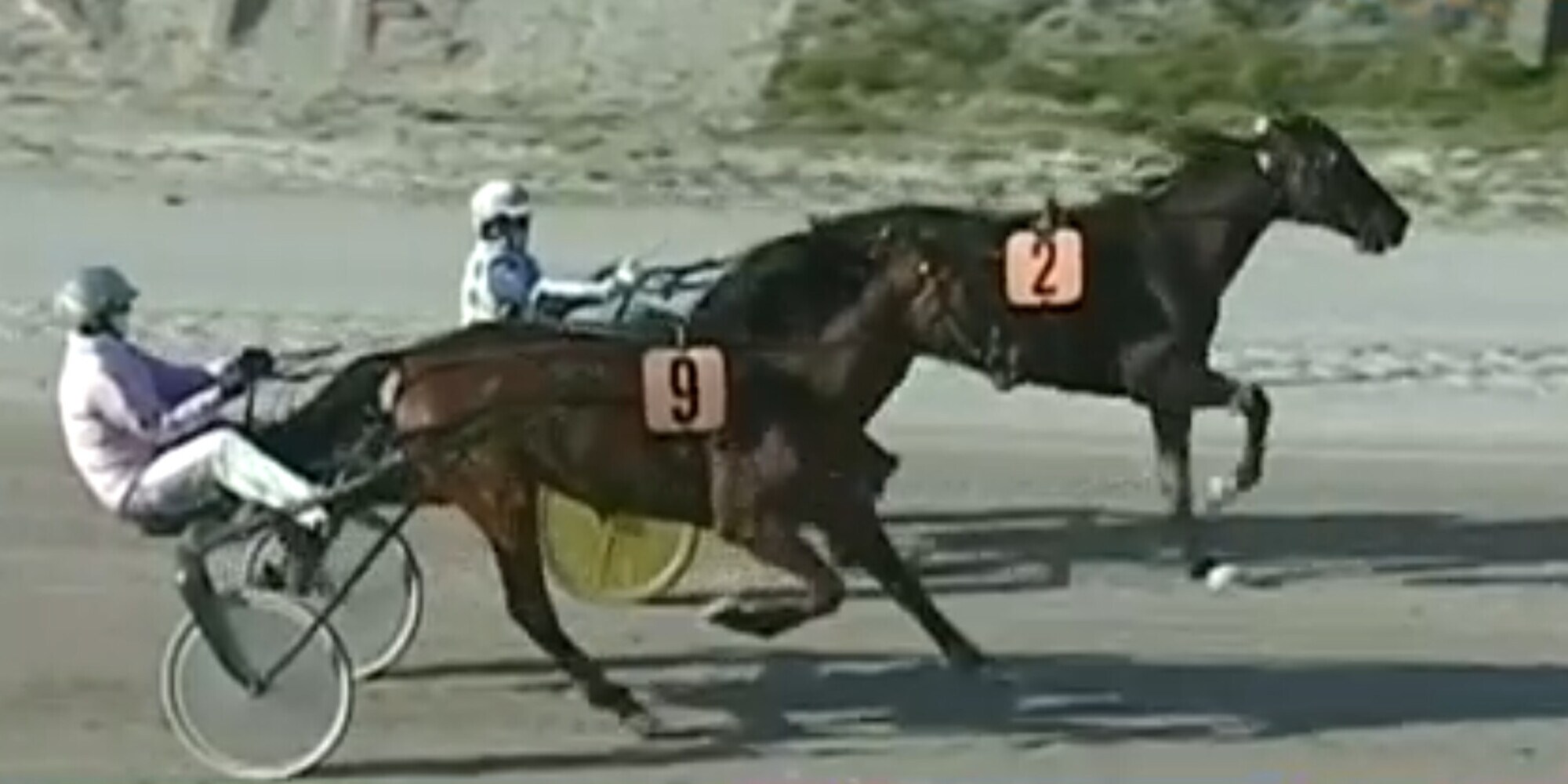 Arazi Boko, un GP a 14 anni