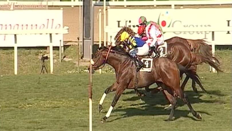 Premio Natale di Roma all'ippodromo Capannelle