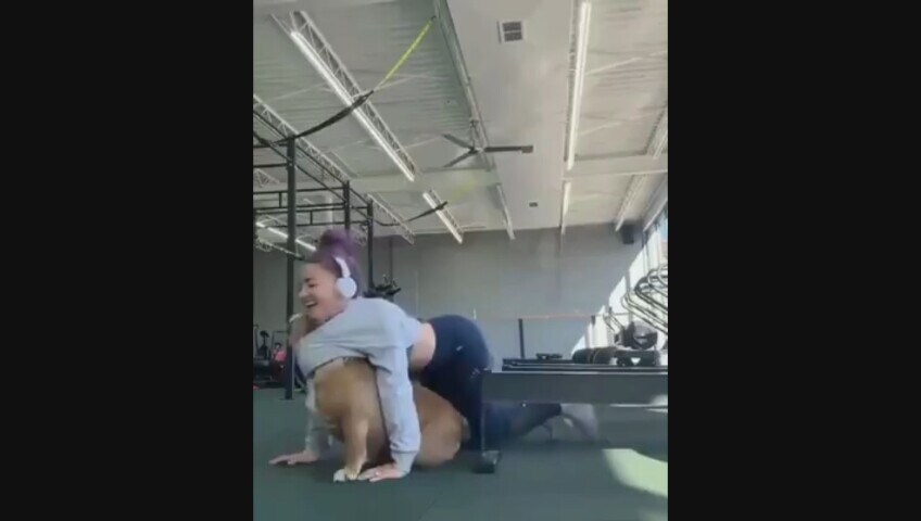 Ma quali flessioni e flessioni: il cagnolino è un perfetto personal trainer