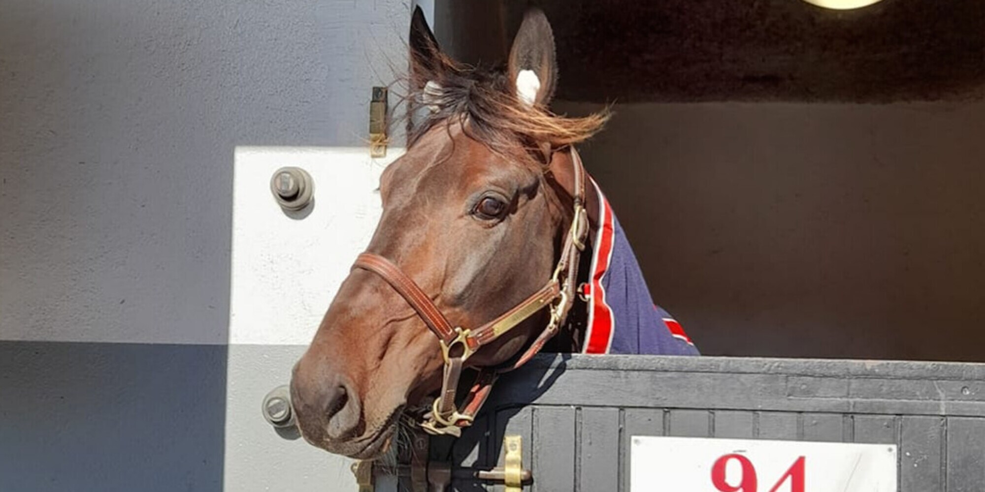 Violetto Jet, chance difficile