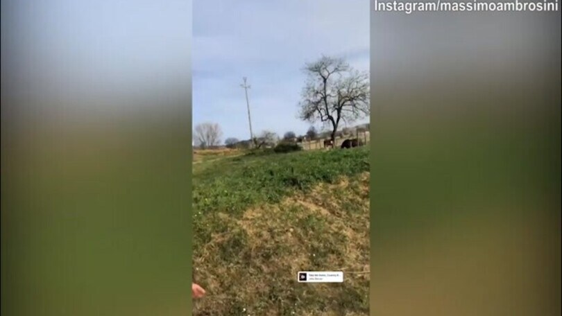 Massimo Ambrosini si tiene in forma correndo a petto nudo